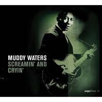 Turn Your Lamp Down Low (Please Baby Don't Let Go) - Muddy Waters