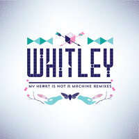 My Heart Is Not A Machine - Whitley, Fractures