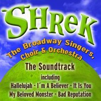 You Belong to Me - The Broadway Singers, Choir & Orchestra