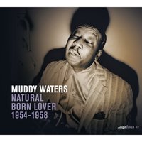 Look What You’ve Done - Muddy Waters