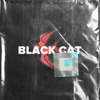 BLACK CAT - LeanJe