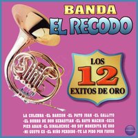 El Bato Machín - Banda El Recodo