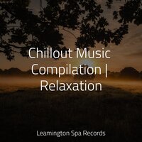 Relaxation - Guided Meditation, Classical Study Music, Sleeping Music