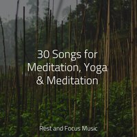 Water - Academia de Meditação Buddha, Wellness, Asian Zen Spa Music Meditation