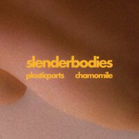 chamomile - slenderbodies