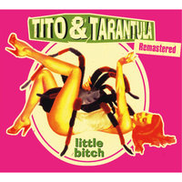 Lady Don't Leave - Tito & Tarantula