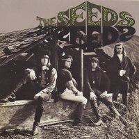 Lose Your Mind - The Seeds