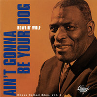 Poor Wind That Never Change - Howlin' Wolf