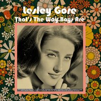 Something Wonderful - Lesley Gore