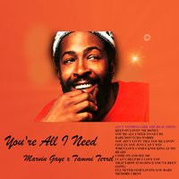 I'll Never Stop Loving You Baby - Marvin Gaye