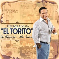 Héctor Acosta "El Torito"