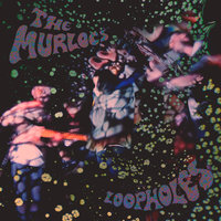 Loopholes - The Murlocs
