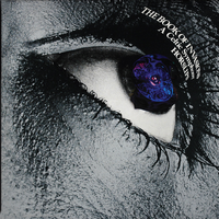 The Rocks Remain - Horslips