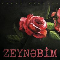 Zeynəbim - Аббас Багиров