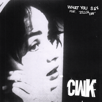 What You Say - Cold War Kids, Zella Day, Spacebar
