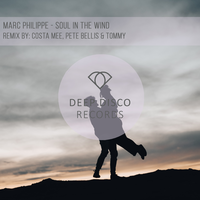 Soul In The Wind - Marc philippe