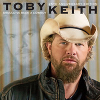 Under The Fall - Toby Keith