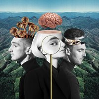 Tears - Clean Bandit, Louisa Johnson