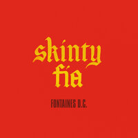 Skinty Fia - Fontaines D.C.