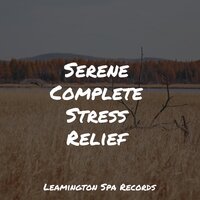 Relaxation - Alpha Waves, Mindfulness Mediation World, Nature Sounds for Sleep and Relaxation