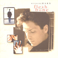 Too Shy To Say - Richard Marx