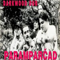 Nevidljivi Ujak - Darkwood Dub