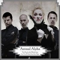 In the Barn - Animal Alpha