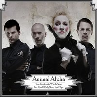 Pin You All - Animal Alpha