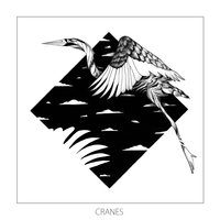 Cranes - Monkey Safari, Wolf + Lamb