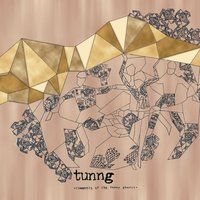 Jenny Again - Tunng