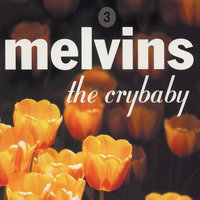 Mine Is No Disgrace - Melvins