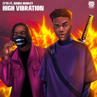High Vibration - Lyta, Naira Marley
