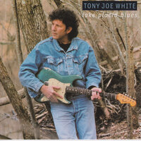 Let the Healing Begin - Tony Joe White