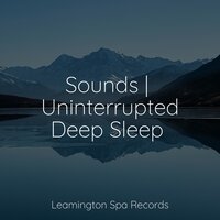 Gentle Sleep Music - Soothing Baby Music, Brain Study Music Guys, White Noise Relaxation