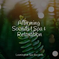 Relaxation - Water Soundscapes, Sleep Recording Sounds, Serenity Spa Music Relaxation