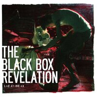 I Think I Like You - Black Box Revelation