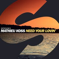Need Your Lovin' - Mathieu Koss