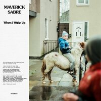 Into Nirvana - Maverick Sabre