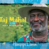 All Along The Watchtower - Taj Mahal, The Hula Blues Band
