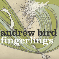 Trimmed + Burning - Andrew Bird