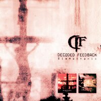This World - Decoded Feedback