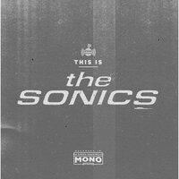 Save The Planet - The Sonics