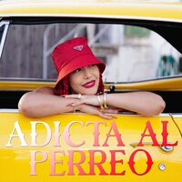 Adicta al Perreo - Farina