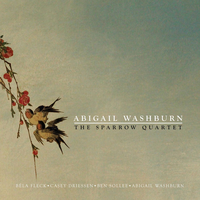 His Eye Is On The Sparrow - Abigail Washburn