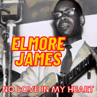 Can't Stop Lovin' - Elmore James
