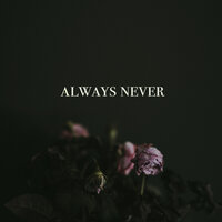 Always Never - David J