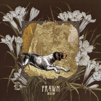 Greyhound - Prawn