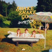 Fake Love - Shake Shake Go