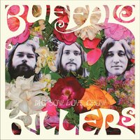 Rollin Wheel - Buffalo Killers