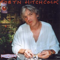 Solpadeine - Robyn Hitchcock